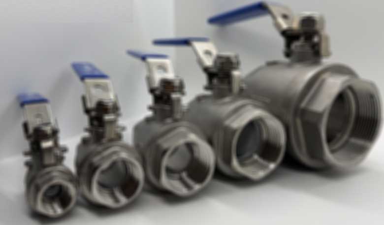 valvulas en acero inoxidable marca propia venecia